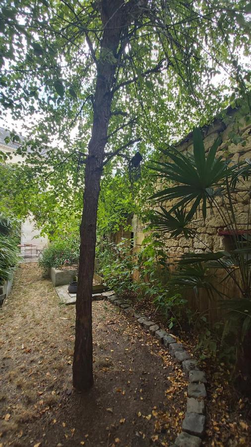 La Maison De Louise Chinon #Chateaux #Vignobles ภายนอก รูปภาพ
