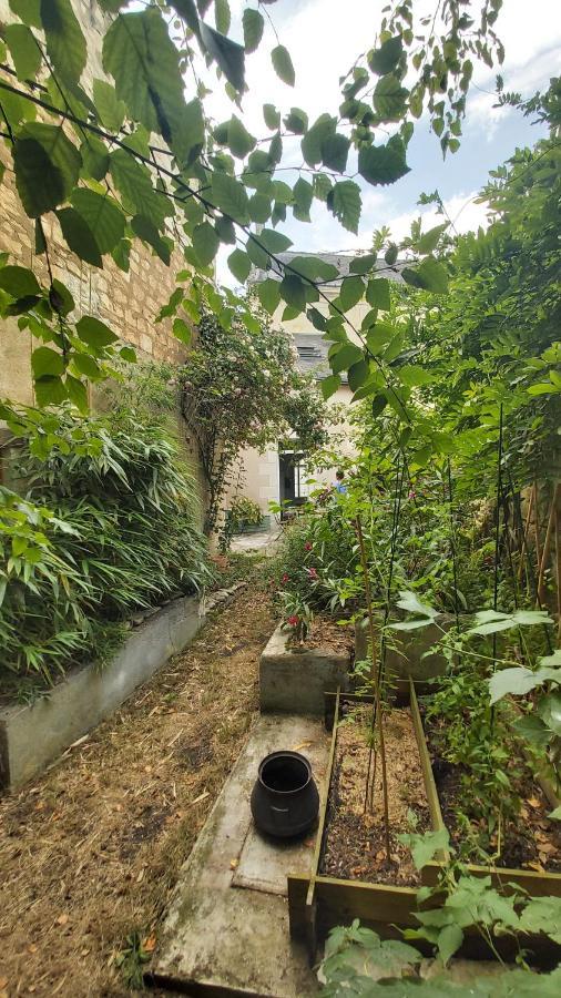 La Maison De Louise Chinon #Chateaux #Vignobles ภายนอก รูปภาพ